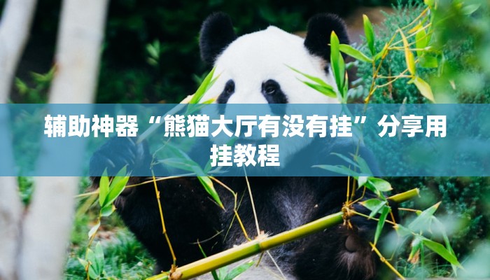 辅助神器“熊猫大厅有没有挂”分享用挂教程
