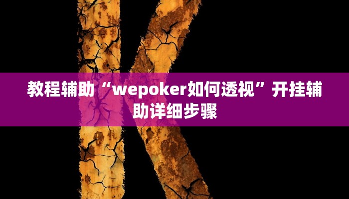 教程辅助“wepoker如何透视”开挂辅助详细步骤