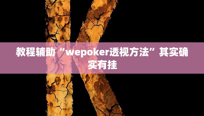 教程辅助“wepoker透视方法”其实确实有挂