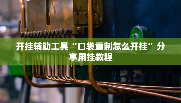 开挂辅助工具“口袋重制怎么开挂”分享用挂教程