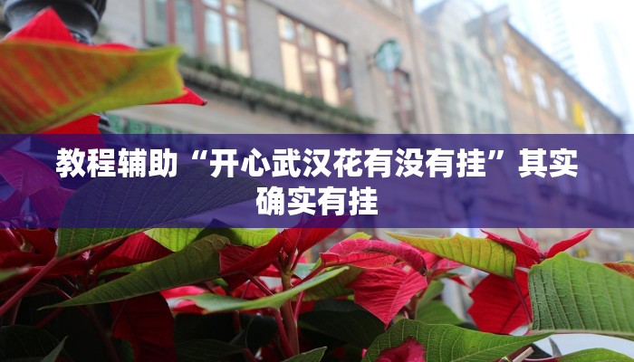 教程辅助“闲逸棋牌开挂教程”其实确实有挂 教程辅助“闲逸棋牌开挂教程”其实确实有挂