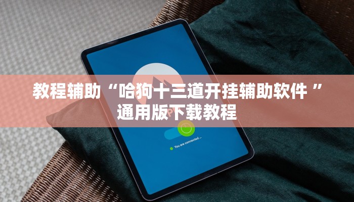 教程辅助“哈狗十三道开挂辅助软件 ”通用版下载教程