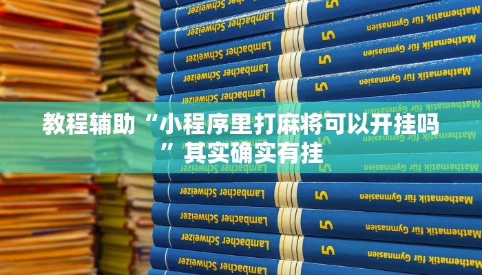 教程辅助“陕麻圈辅助器安装”其实确实有挂