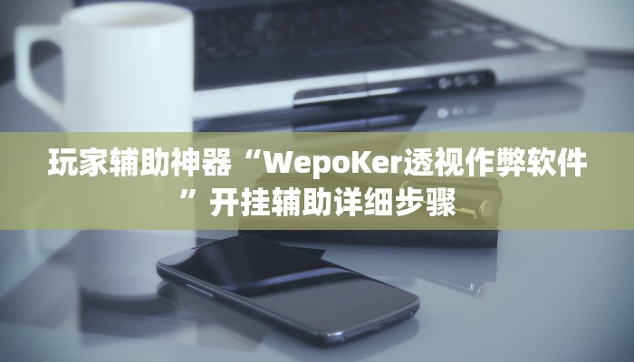 玩家辅助神器“WepoKer透视作弊软件”开挂辅助详细步骤