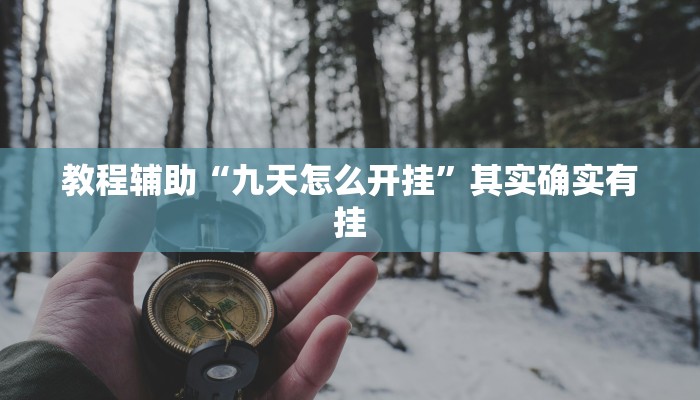 教程辅助“九天怎么开挂”其实确实有挂 教程辅助“九天怎么开挂”其实确实有挂