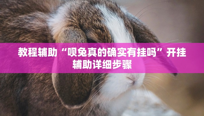 教程辅助“呗兔真的确实有挂吗”开挂辅助详细步骤