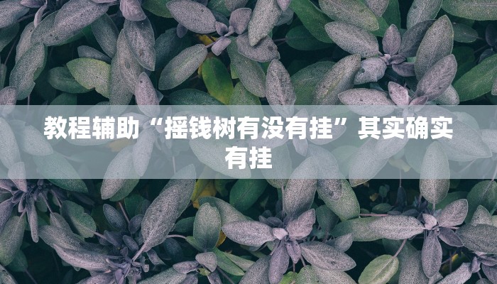 教程辅助“哈灵上海麻将万能开挂神器”通用版下载教程