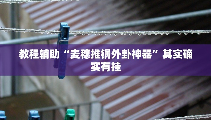 辅助神器“约战武汉麻将系统作弊辅助工具”通用版下载教程