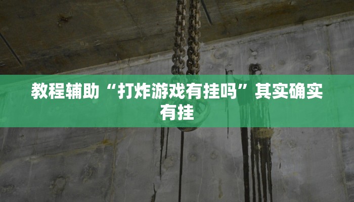 教程辅助“打炸游戏有挂吗”其实确实有挂 教程辅助“打炸游戏有挂吗”其实确实有挂