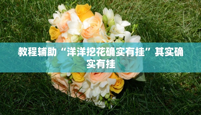 教程辅助“新全游联盟开挂”其实确实有挂