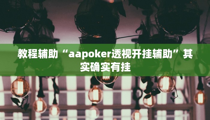 教程辅助“aapoker透视开挂辅助”其实确实有挂