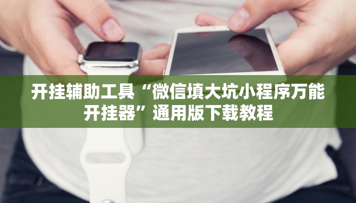 开挂辅助工具“微信填大坑小程序万能开挂器”通用版下载教程