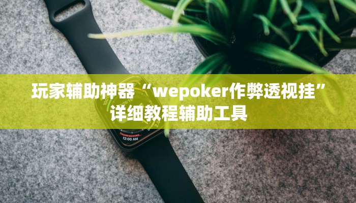 玩家辅助神器“wepoker作弊透视挂”详细教程辅助工具 玩家辅助神器“wepoker作弊透视挂”详细教程辅助工具