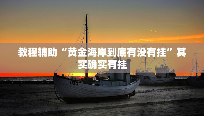 教程辅助“阿牛哥有挂吗”其实确实有挂