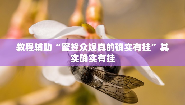 教程辅助“蜜蜂众娱真的确实有挂”其实确实有挂