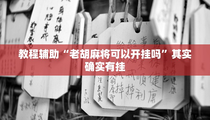 教程辅助“老胡麻将可以开挂吗”其实确实有挂
