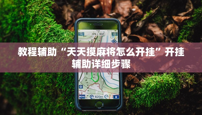 教程辅助“天天摸麻将怎么开挂”开挂辅助详细步骤