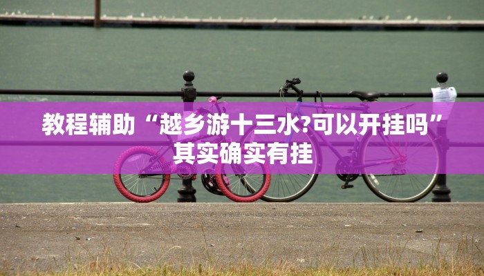 教程辅助“越乡游十三水?可以开挂吗”其实确实有挂