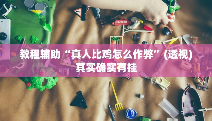 教程辅助“真人比鸡怎么作弊”(透视)其实确实有挂