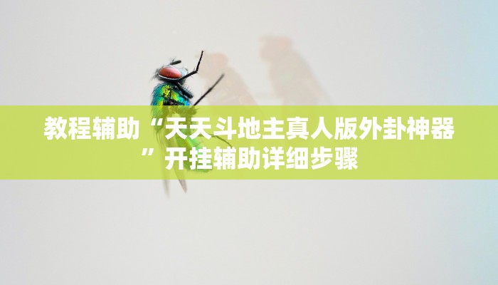 教程辅助“天天斗地主真人版外卦神器”开挂辅助详细步骤 教程辅助“天天斗地主真人版外卦神器”开挂辅助详细步骤