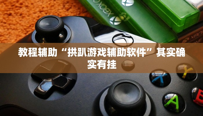 教程辅助“拱趴游戏辅助软件”其实确实有挂 教程辅助“拱趴游戏辅助软件”其实确实有挂