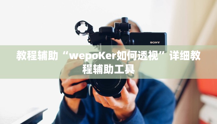 教程辅助“wepoKer如何透视”详细教程辅助工具