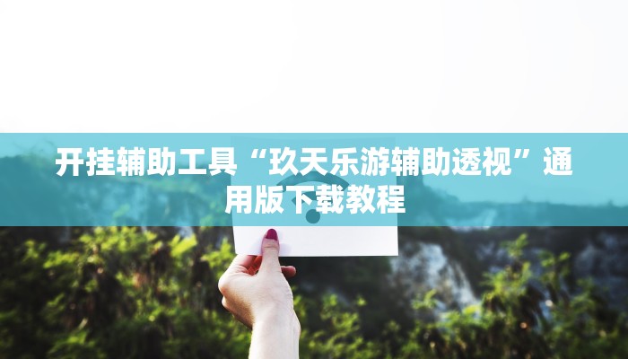 开挂辅助工具“玖天乐游辅助透视”通用版下载教程