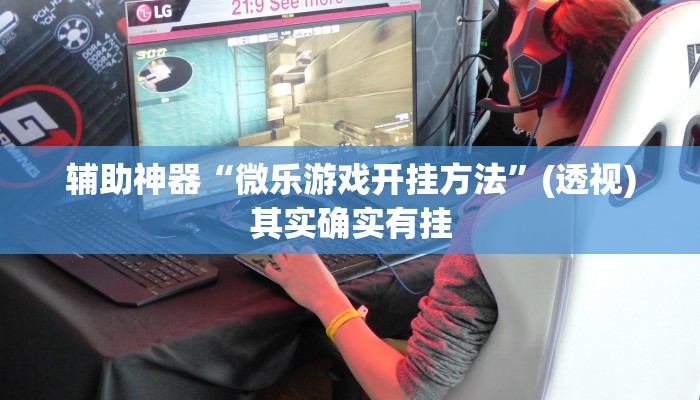 辅助神器“微乐游戏开挂方法”(透视)其实确实有挂