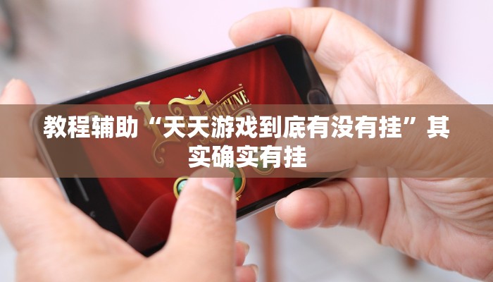 教程辅助“天天游戏到底有没有挂”其实确实有挂