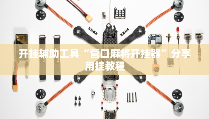 开挂辅助工具“营口麻将开挂器”分享用挂教程