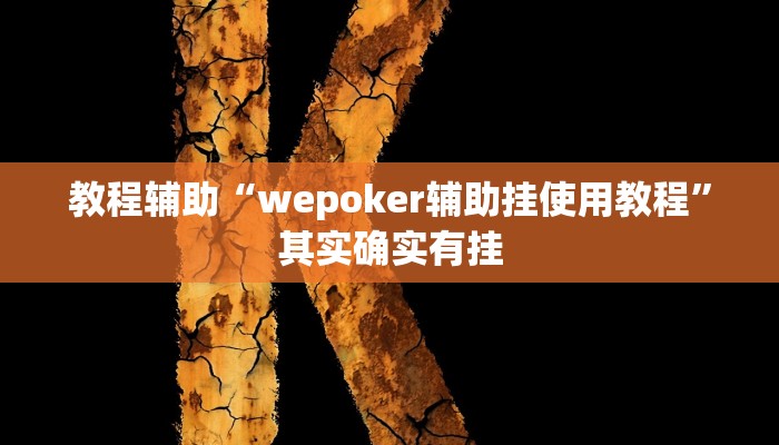 教程辅助“wepoker辅助挂使用教程”其实确实有挂