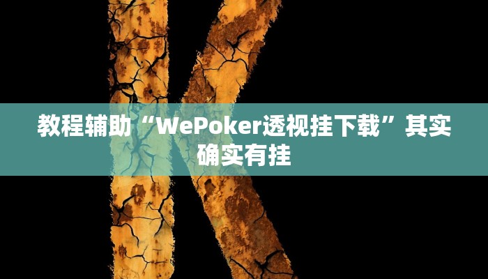 教程辅助“WePoker透视挂下载”其实确实有挂