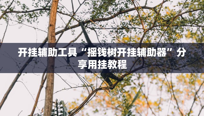 开挂辅助工具“摇钱树开挂辅助器”分享用挂教程