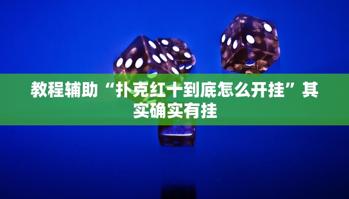 教程辅助“扑克红十到底怎么开挂”其实确实有挂 教程辅助“扑克红十到底怎么开挂”其实确实有挂