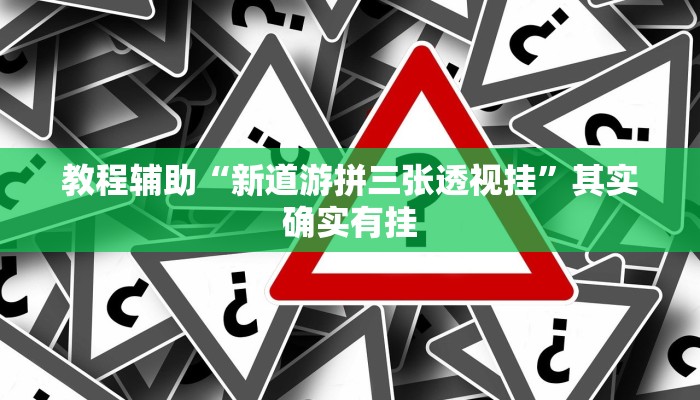 教程辅助“新道游拼三张透视挂”其实确实有挂