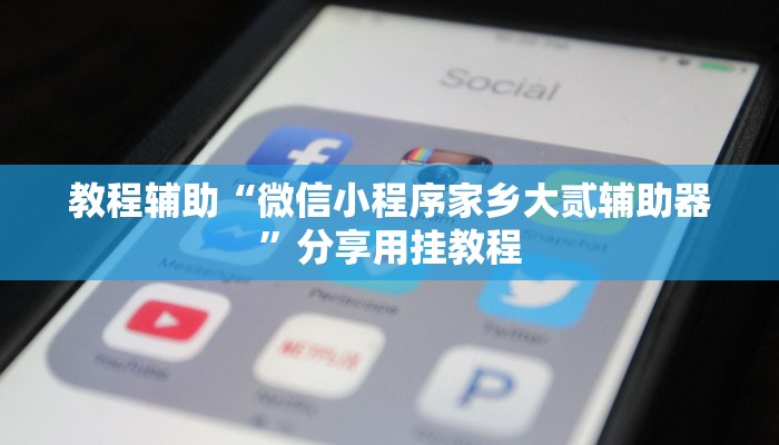 教程辅助“微信小程序家乡大贰辅助器”分享用挂教程