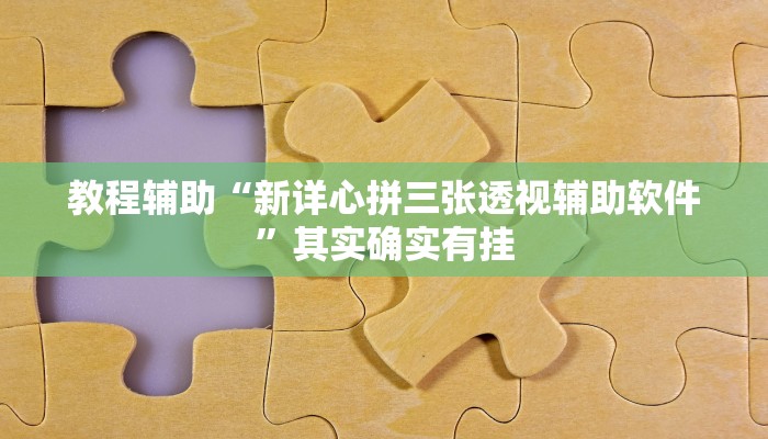 教程辅助“新详心拼三张透视辅助软件”其实确实有挂 教程辅助“新详心拼三张透视辅助软件”其实确实有挂