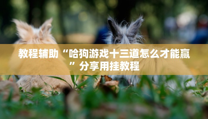 教程辅助“哈狗游戏十三道怎么才能赢”分享用挂教程 教程辅助“哈狗游戏十三道怎么才能赢”分享用挂教程