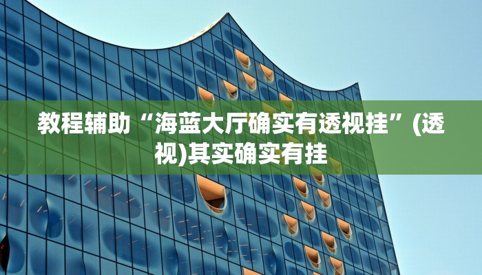 教程辅助“海蓝大厅确实有透视挂”(透视)其实确实有挂