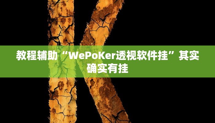 教程辅助“WePoKer透视软件挂”其实确实有挂