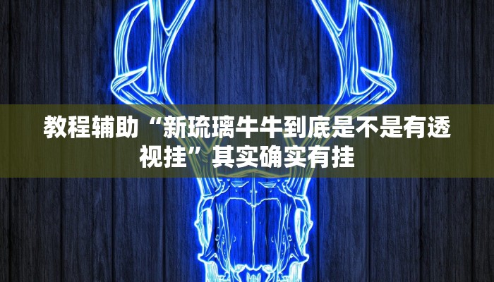 教程辅助“新琉璃牛牛到底是不是有透视挂”其实确实有挂