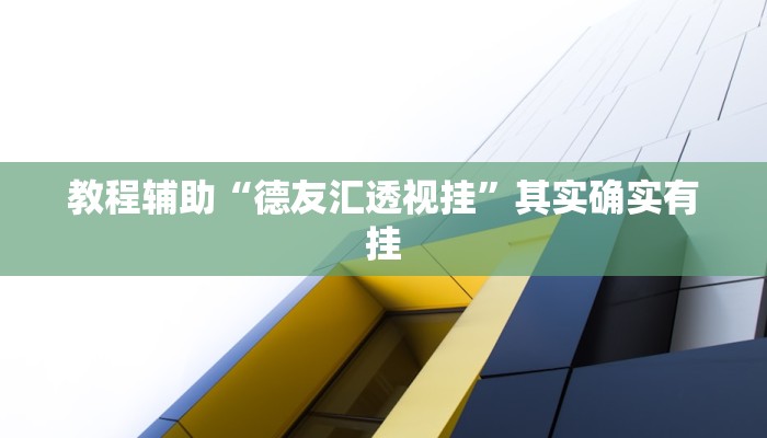 教程辅助“德友汇透视挂”其实确实有挂