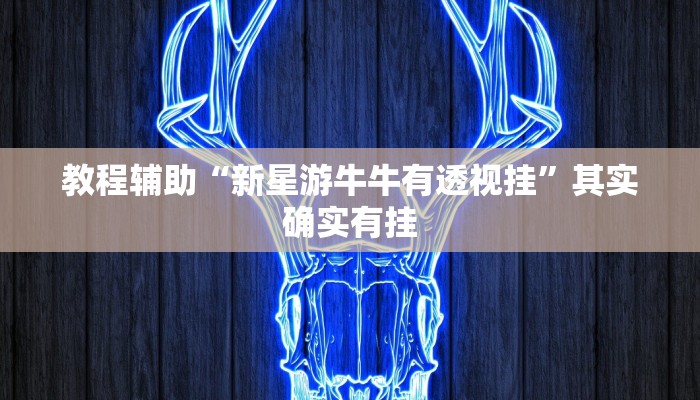 教程辅助“新星游牛牛有透视挂”其实确实有挂