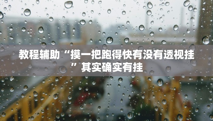 教程辅助“摸一把跑得快有没有透视挂”其实确实有挂