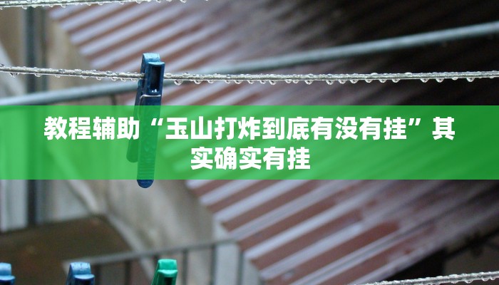教程辅助“玉山打炸到底有没有挂”其实确实有挂