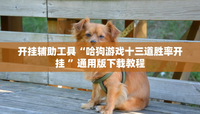 开挂辅助工具“哈狗游戏十三道胜率开挂 ”通用版下载教程