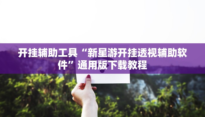 开挂辅助工具“新星游开挂透视辅助软件”通用版下载教程