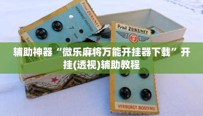 辅助神器“微乐麻将万能开挂器下载”开挂(透视)辅助教程