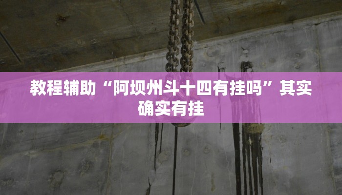教程辅助“阿坝州斗十四有挂吗”其实确实有挂