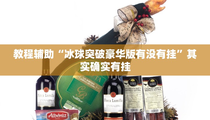 教程辅助“冰球突破豪华版有没有挂”其实确实有挂